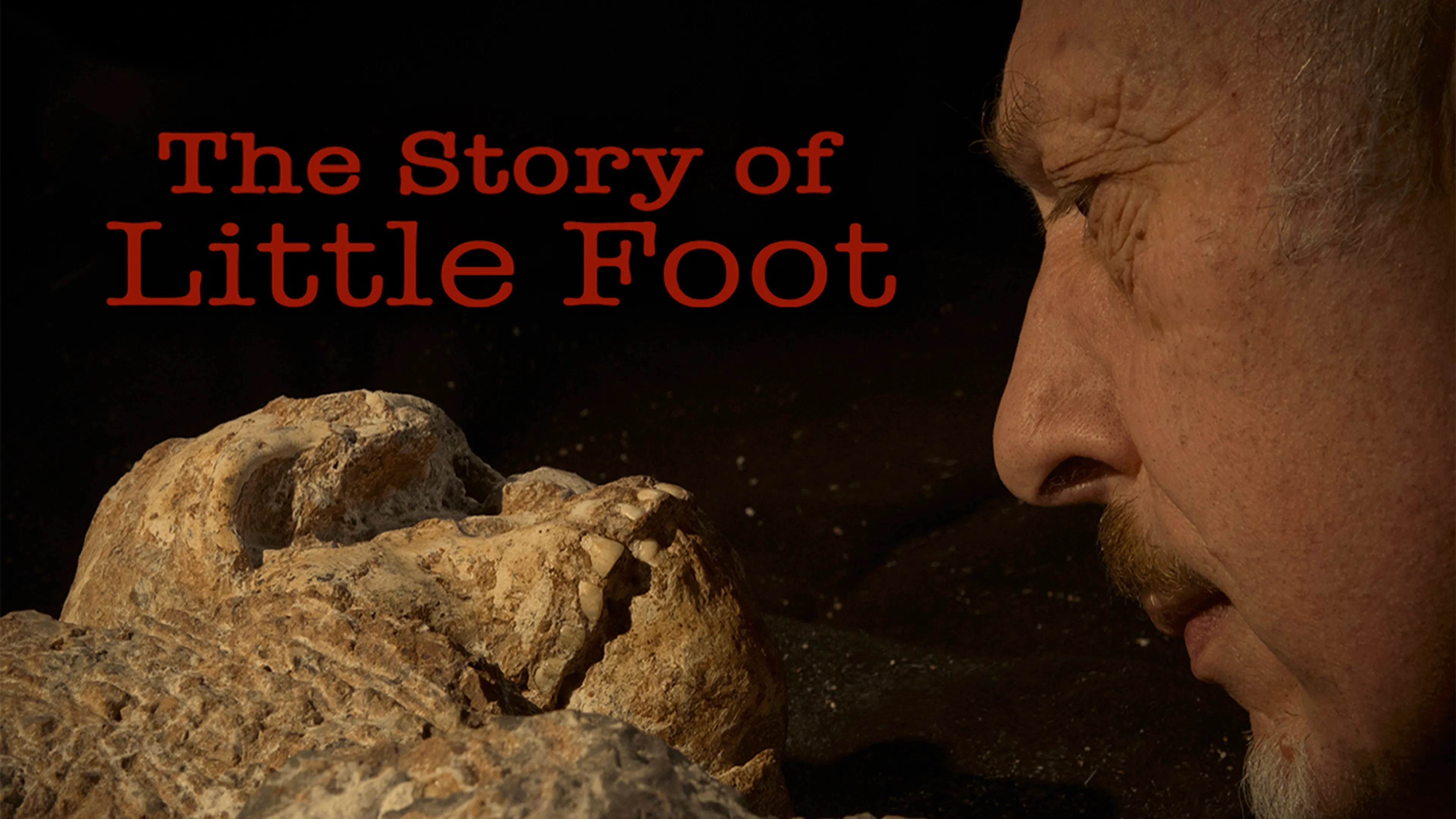The Story of Little Foot poster